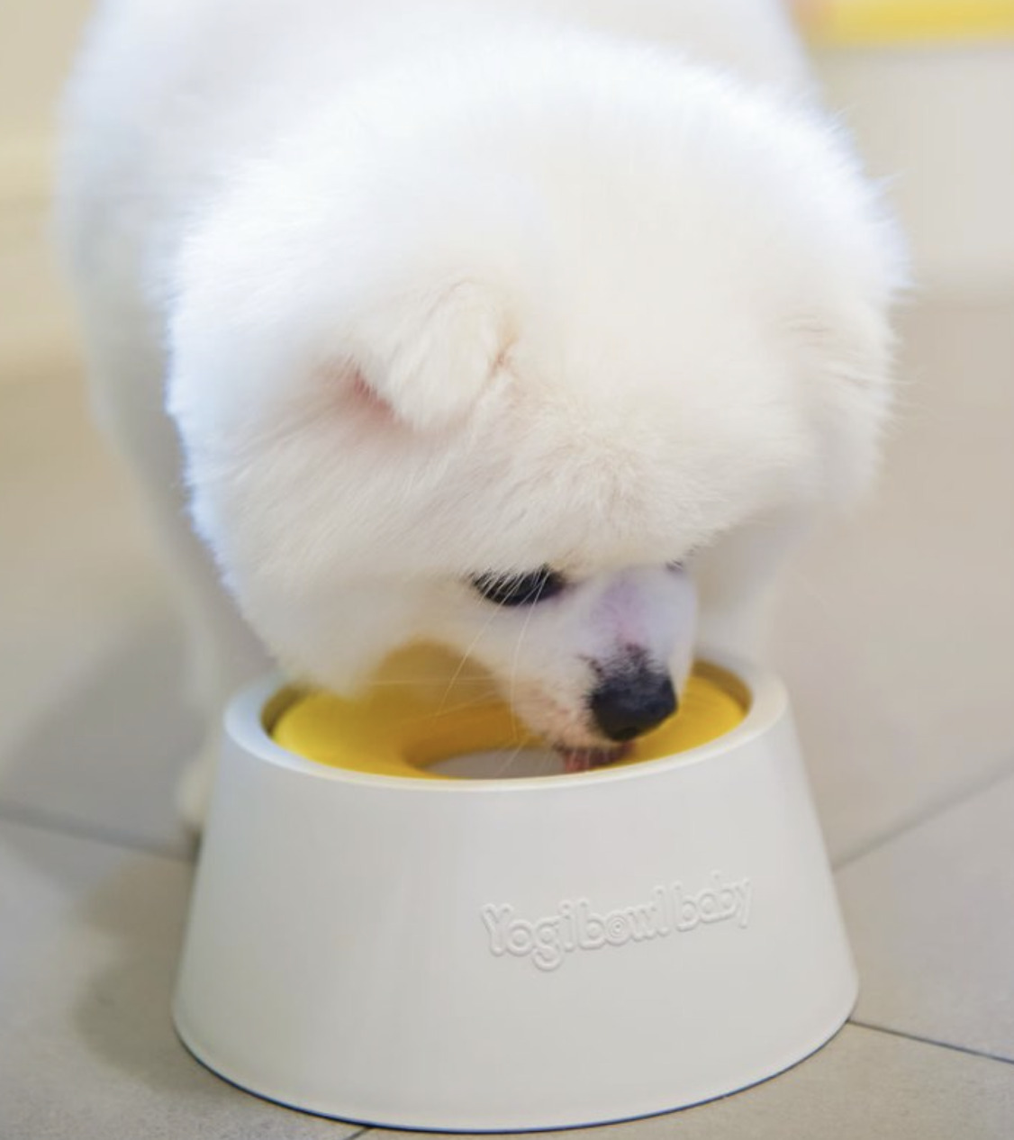 YogiPet - 抗菌98.7% 只喝乾淨水的碗 300ml (迷你款)