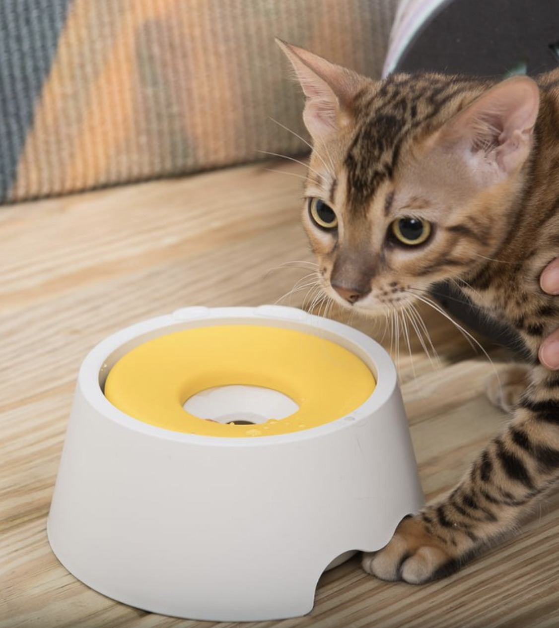 YogiPet - 抗菌98.7% 只喝乾淨水的碗 300ml (迷你款)