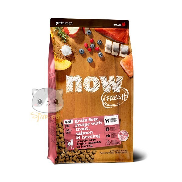 NOW FRESH!™ GF Adult Fish Meat Dog Food Recipe 22lb