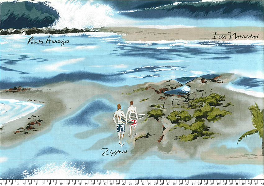 進口棉布R210802-017(二尺)