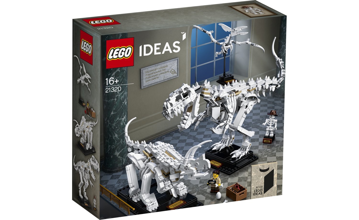 [飛米樂高積木磚賣店] LEGO 21320 ＩＤＥＡＳ系列 恐龍化石
