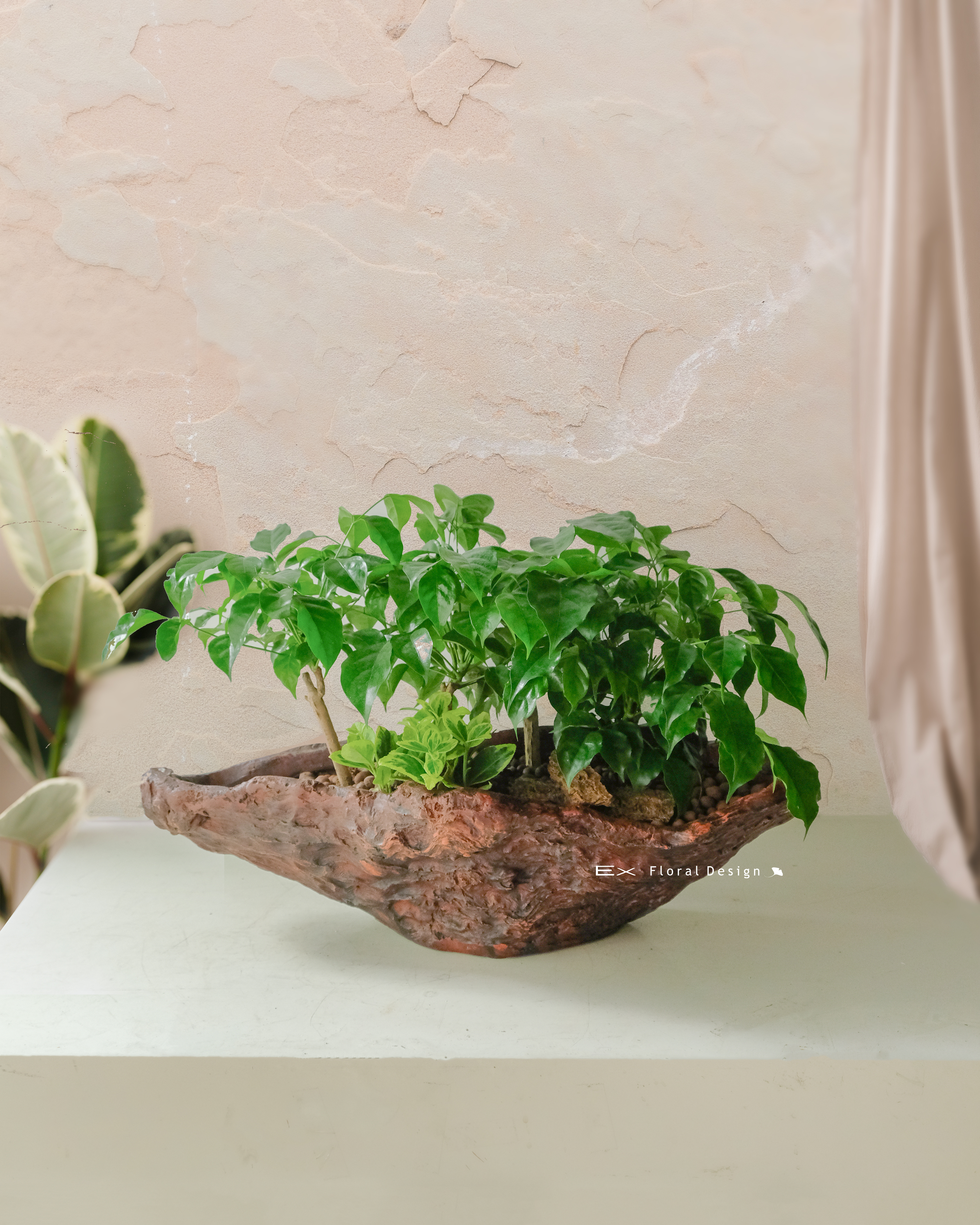 復古木質組合盆 ( 多規格 )