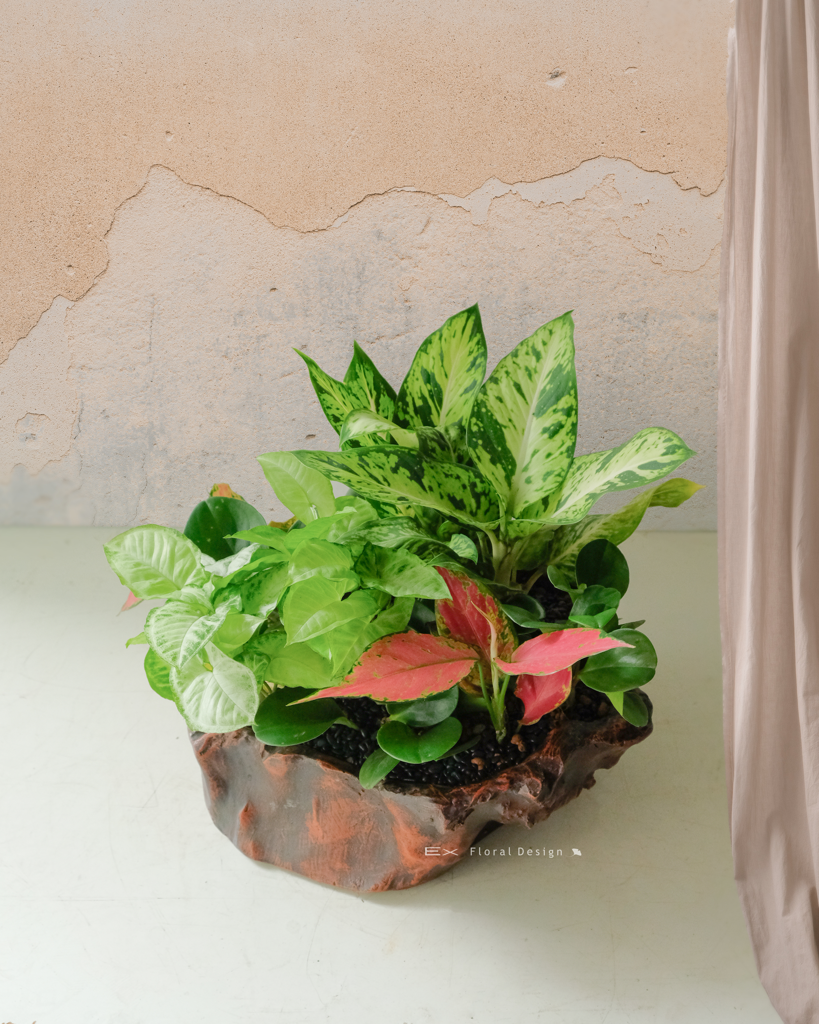 復古木質組合盆 ( 多規格 )