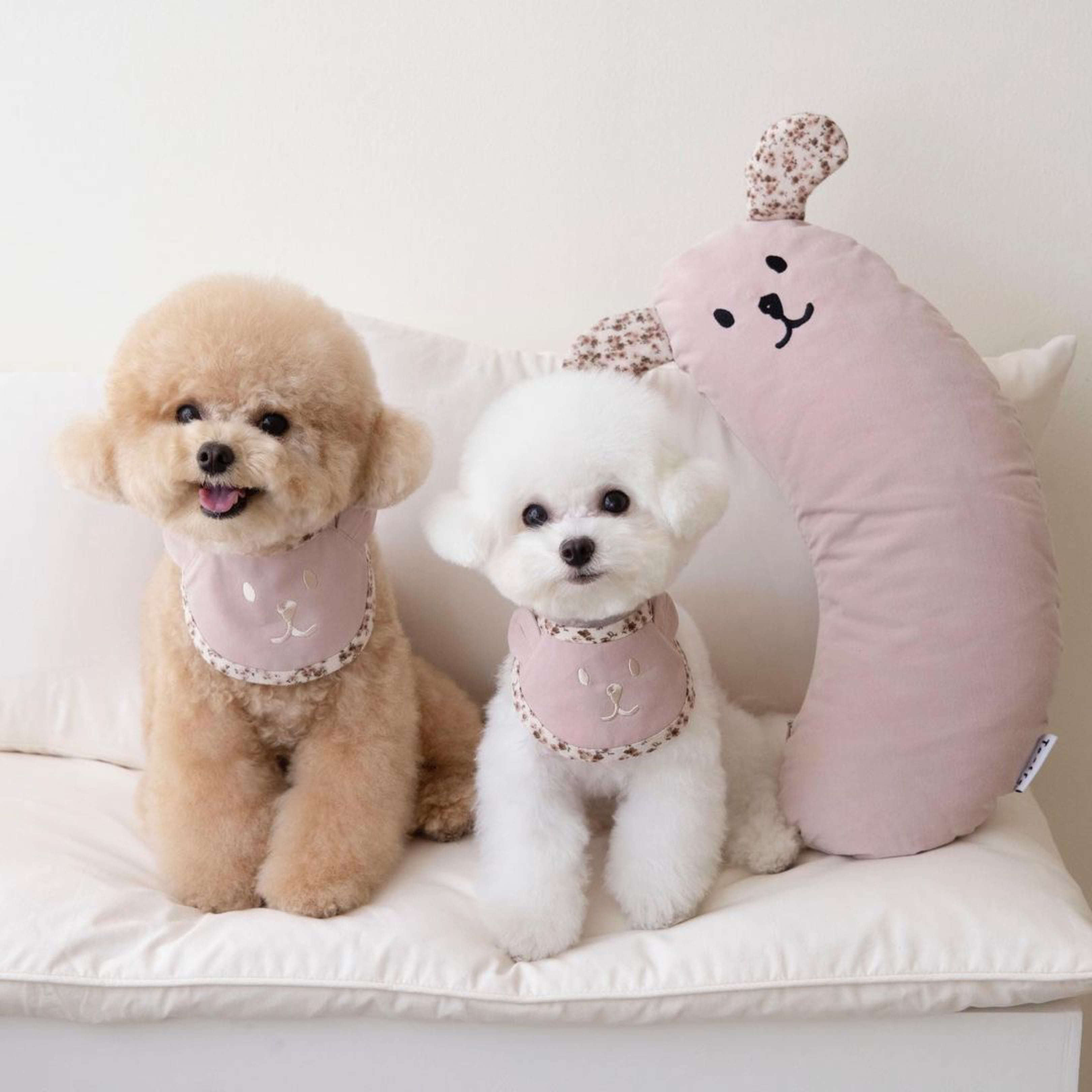 Taaffe x OPAAAP 圍兜兜