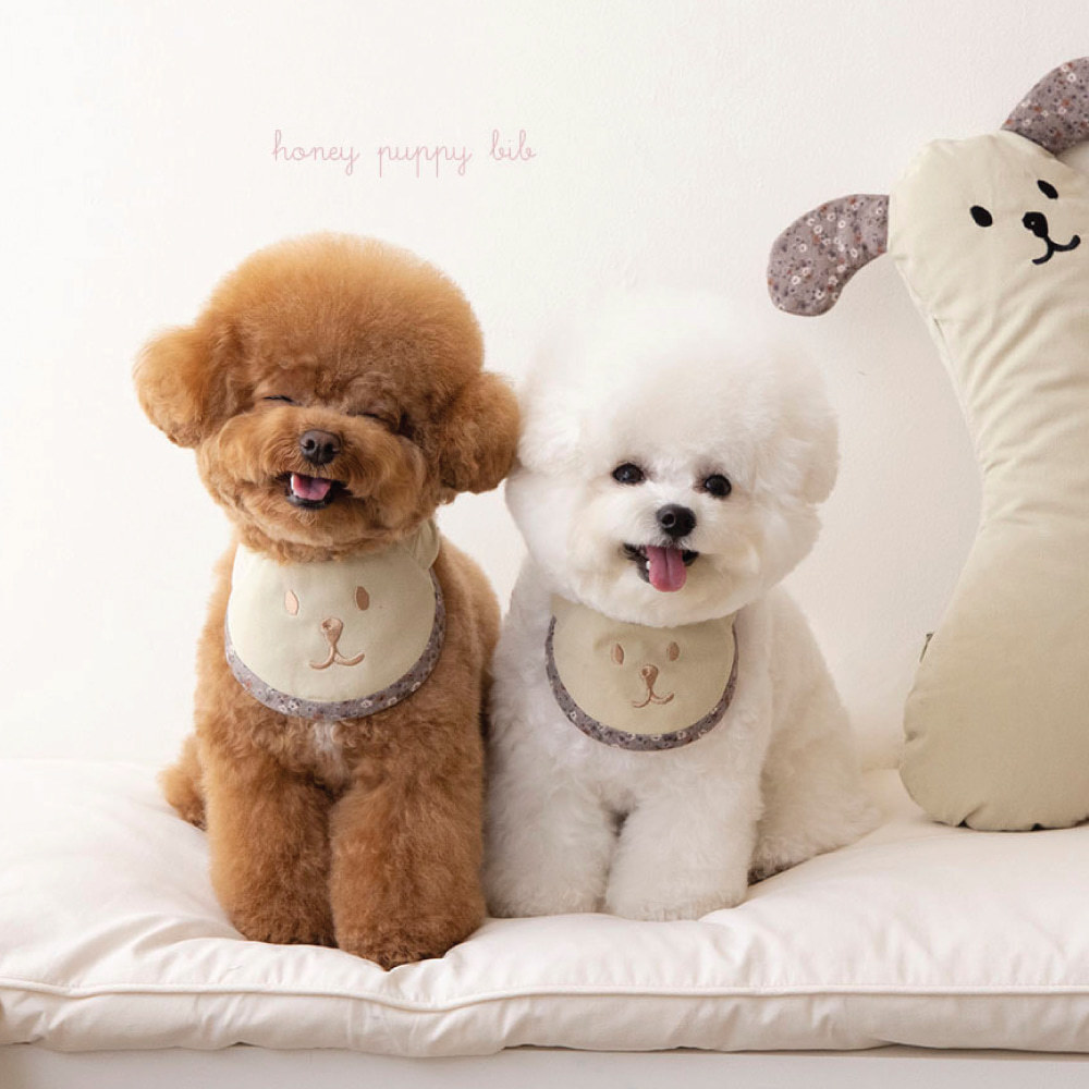 Taaffe x OPAAAP 圍兜兜