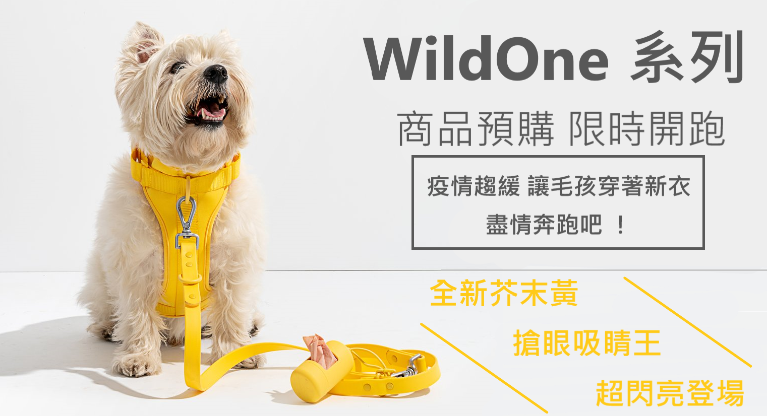 wildone, 狗胸背帶