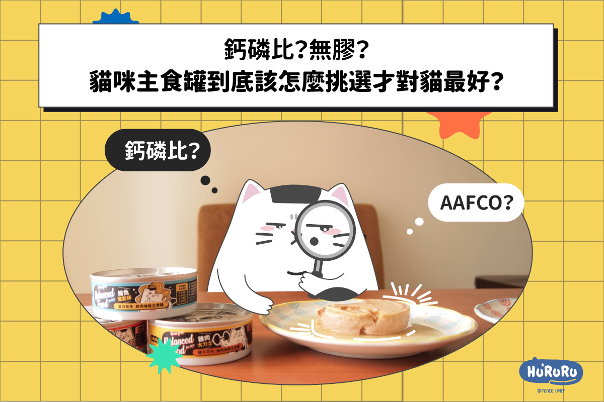 鈣磷比？無膠？貓咪主食罐怎麼挑選對貓最好