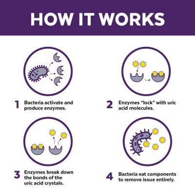 Urine Off Cat & Kitten Formula 貓專用解尿素 500ml（家居用品）