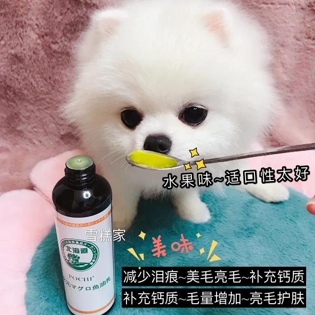 POCHI 北海道鱼油 香橙味