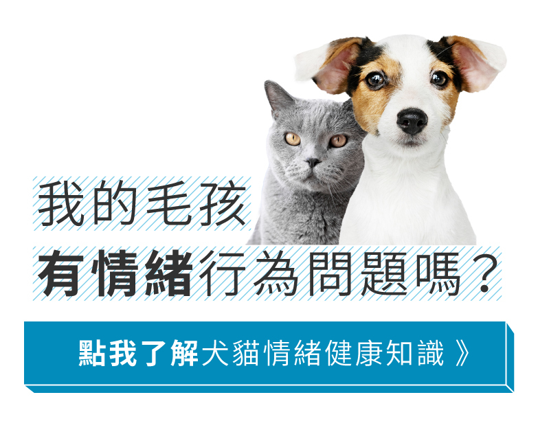 快樂奇毛子－專業級犬貓情緒益生菌