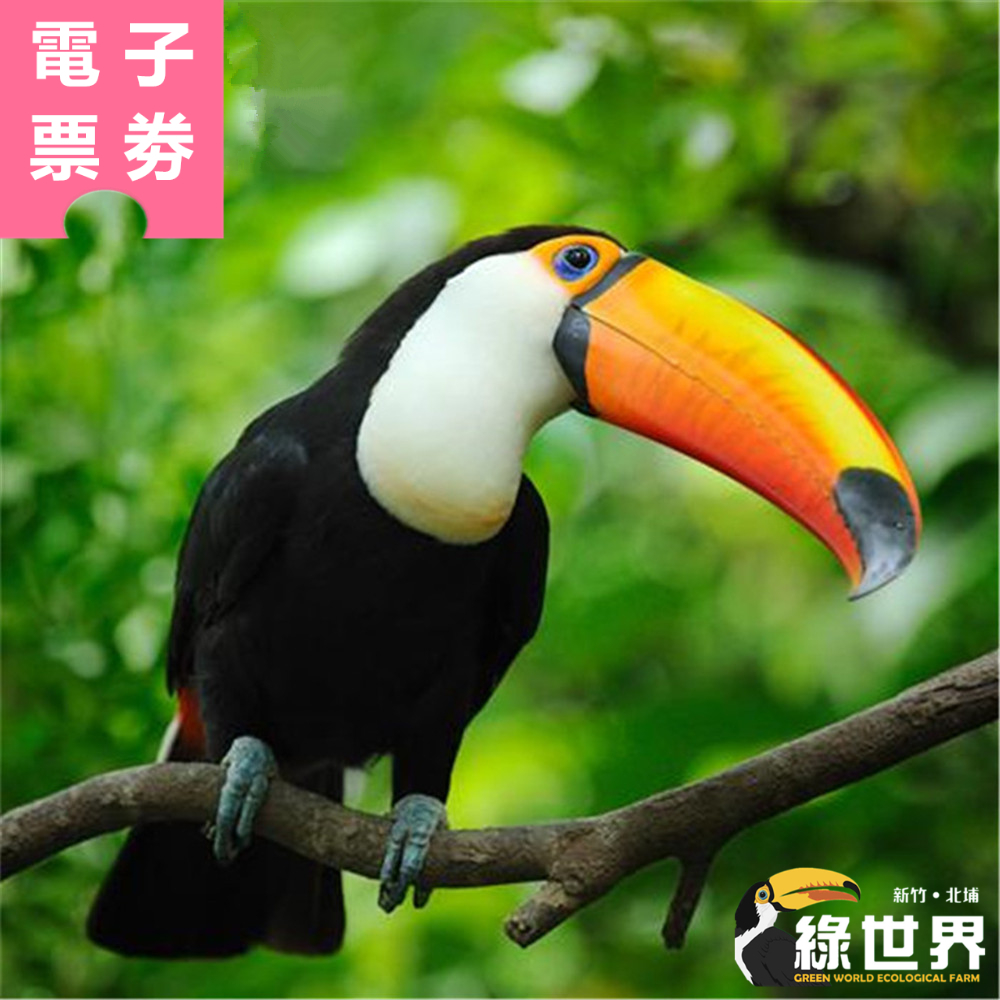 【電子票券】綠世界門票+體驗任選1 (遊園車/化石先生餐飲兌換/糖朝餐飲兌換)Ⓕ