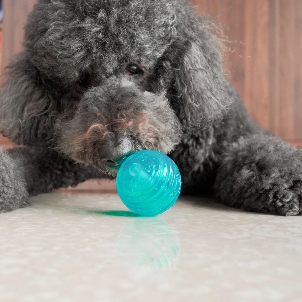 Rosewood - BIOSAFE小號球