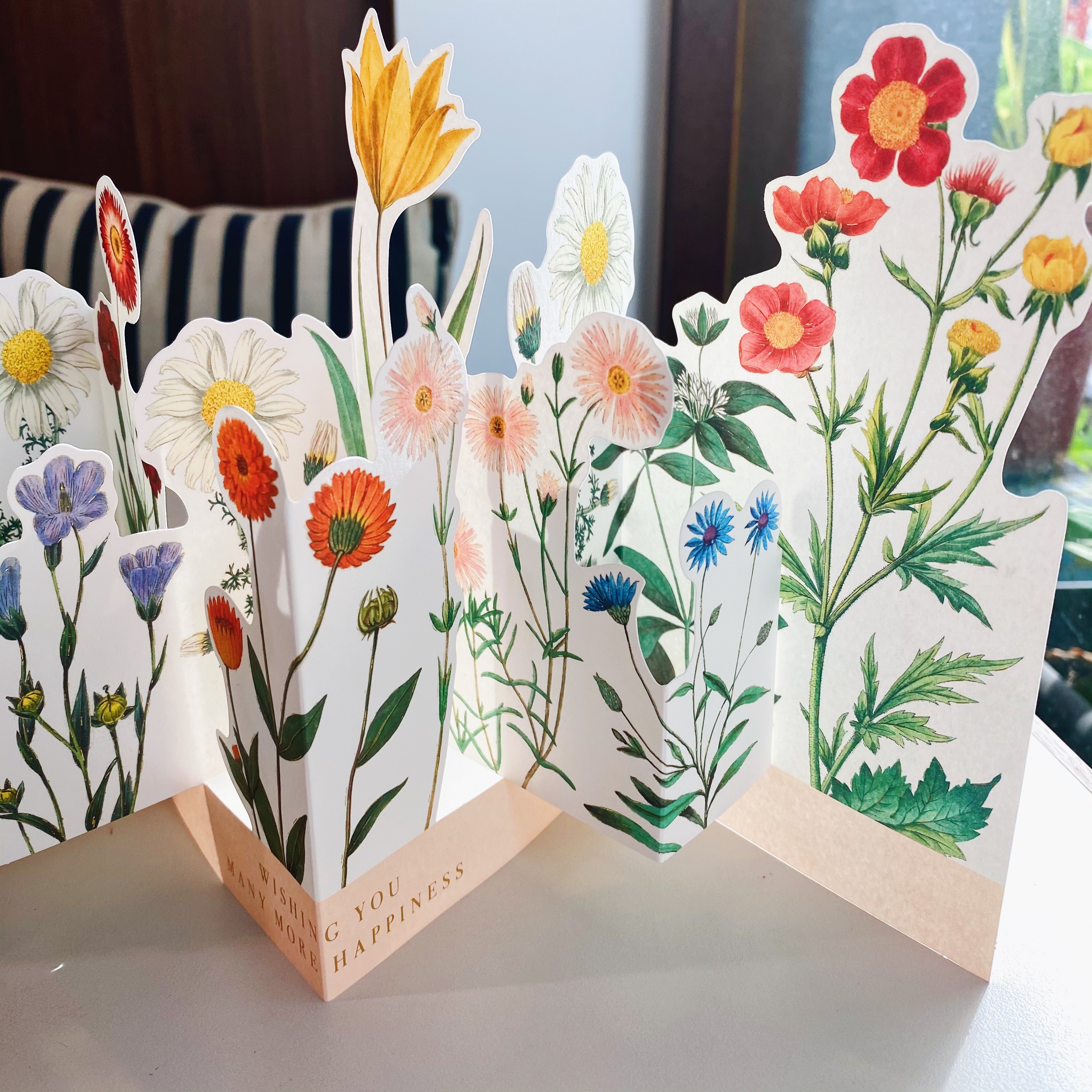 紅色 立體花園 生日卡片｜日本Greeting Life