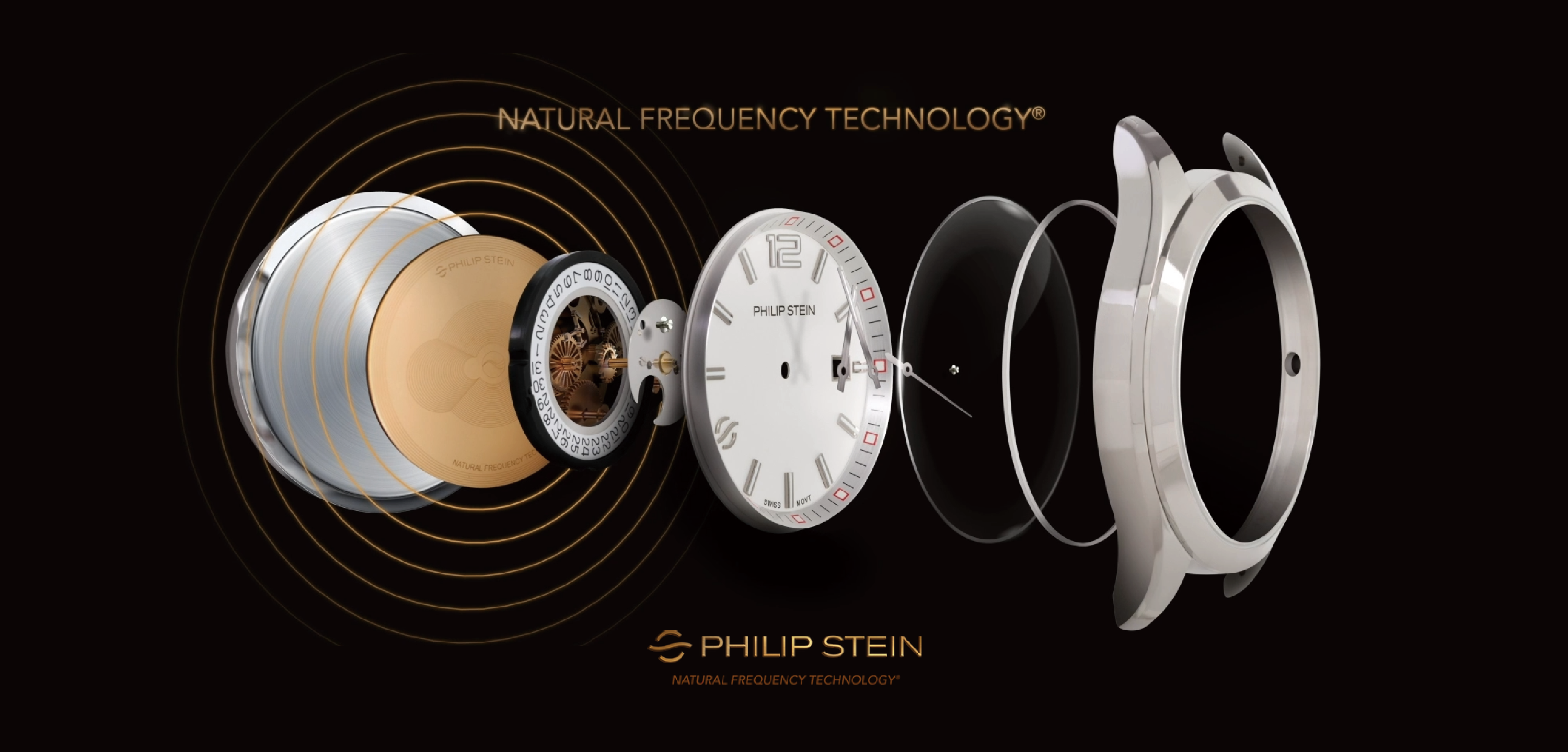 翡麗詩丹 自然頻率技術 崁入接收自然頻率的碟片