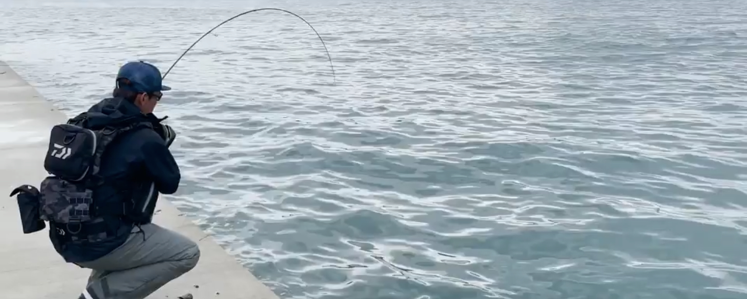 DAIWA EMERALDAS MX 711MLM-S EGING GAME ROD DAIWA EMERALDAS MX 711MLM-S EGING GAME ROD