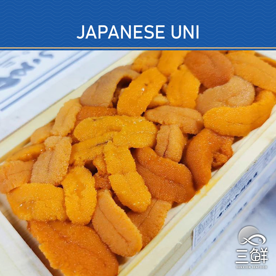 Japanese Uni