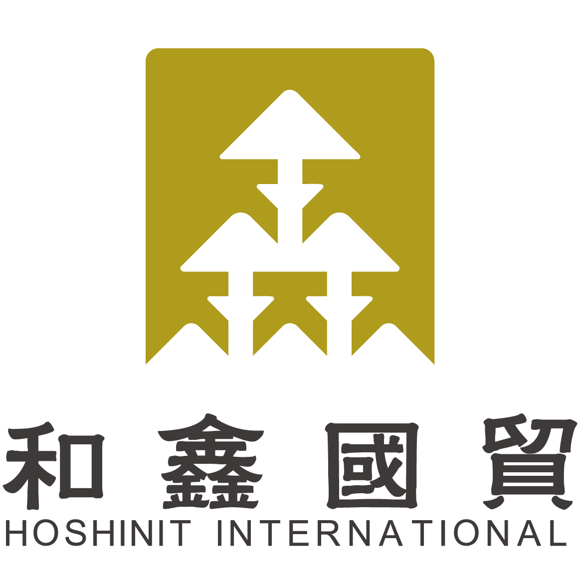 hoshinit.com.tw-logo