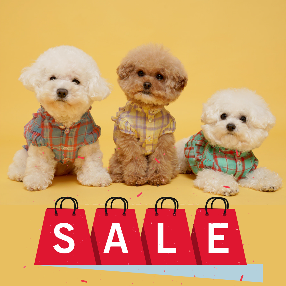 Puppy Angel 棉紗小格紋襯衫