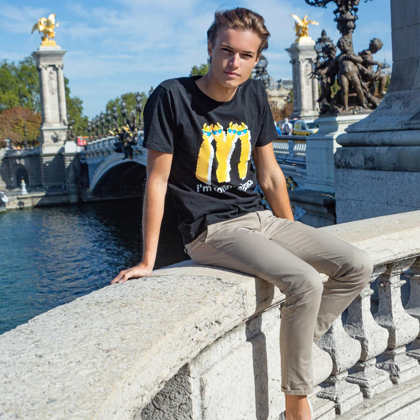 I'm Lovin' Alpaca 麥當駝 短T