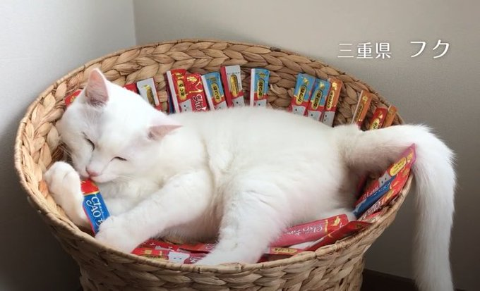 CIAO 果凍片 燒鰹魚醬+鰹魚湯．15Gx4支裝