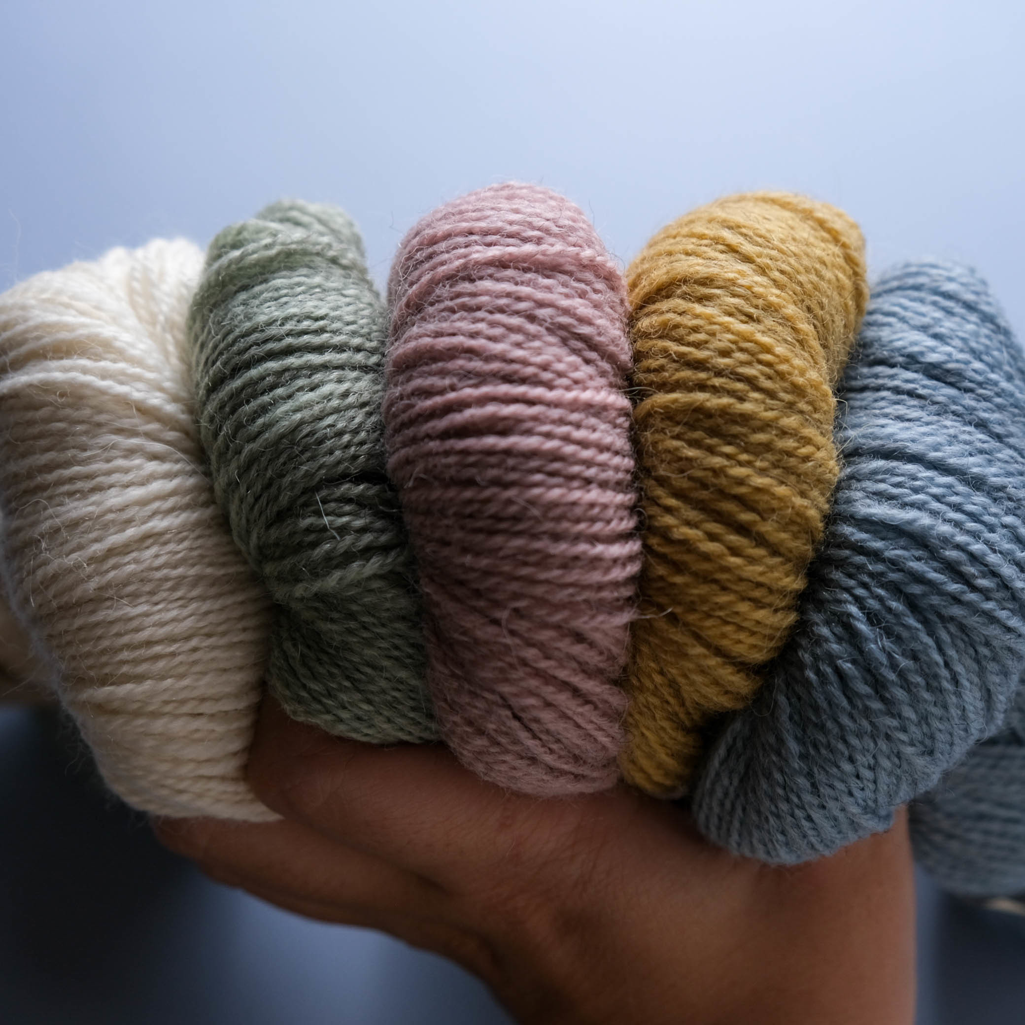 Shawlography MKAL -Isager Alpaca2 材料包1