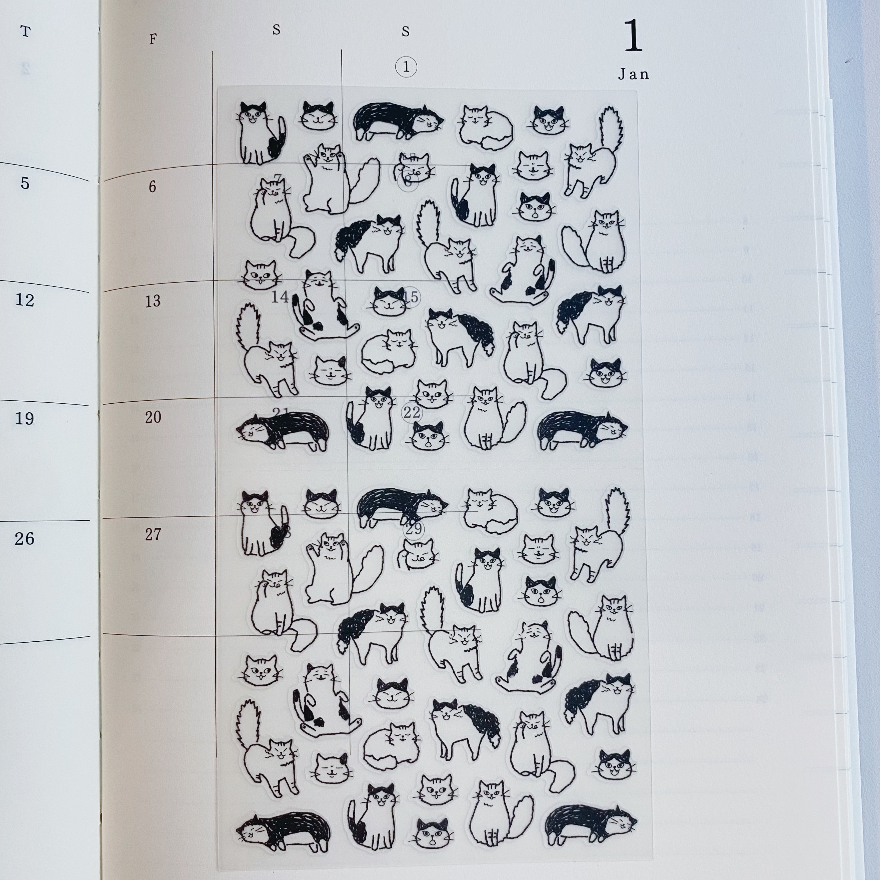 貓咪 對話系列 手帳專用貼紙 透明小貼紙｜日本MIDORI