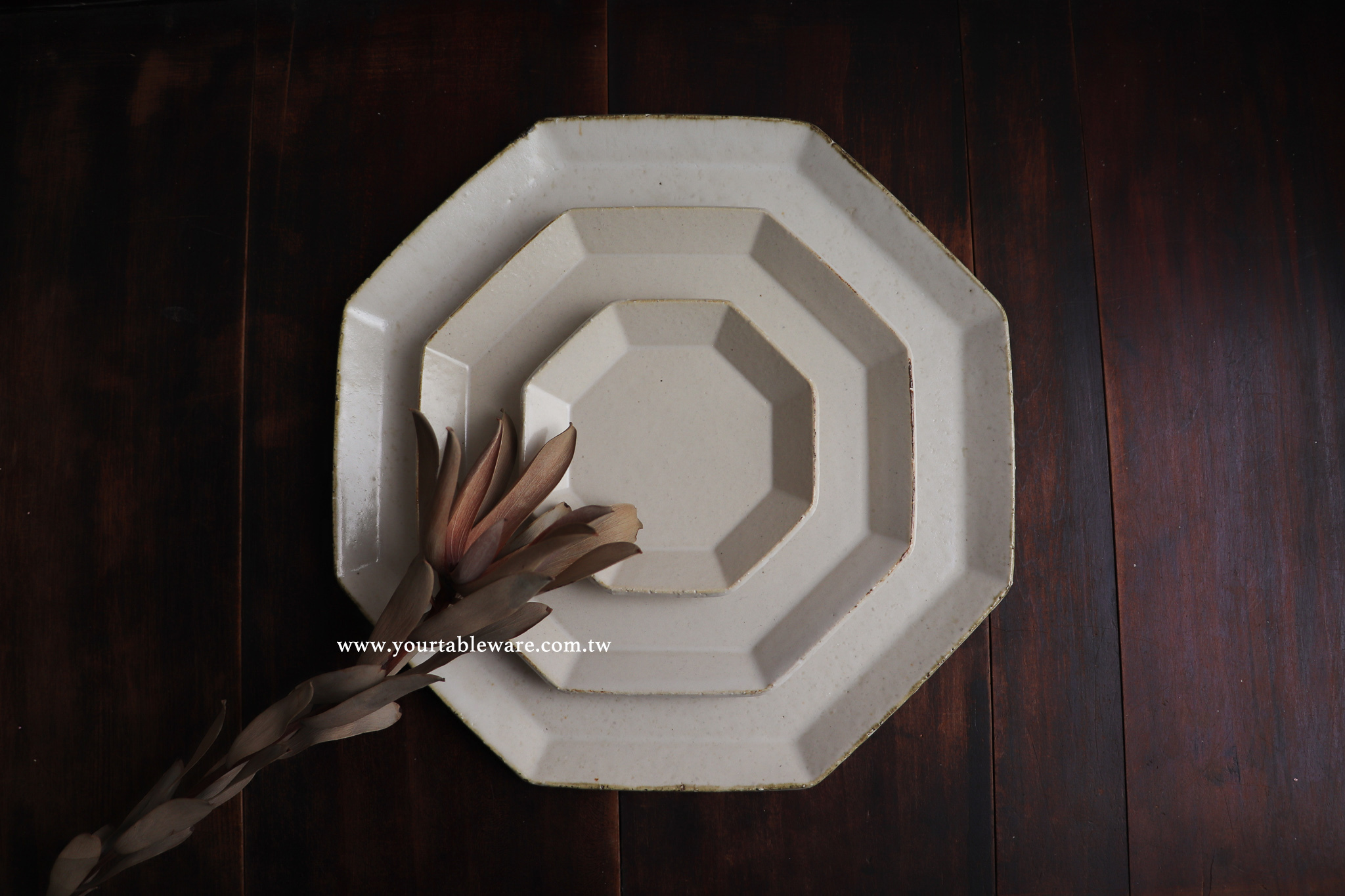 Kotobuki Suguru 壽山窯-angel八角皿