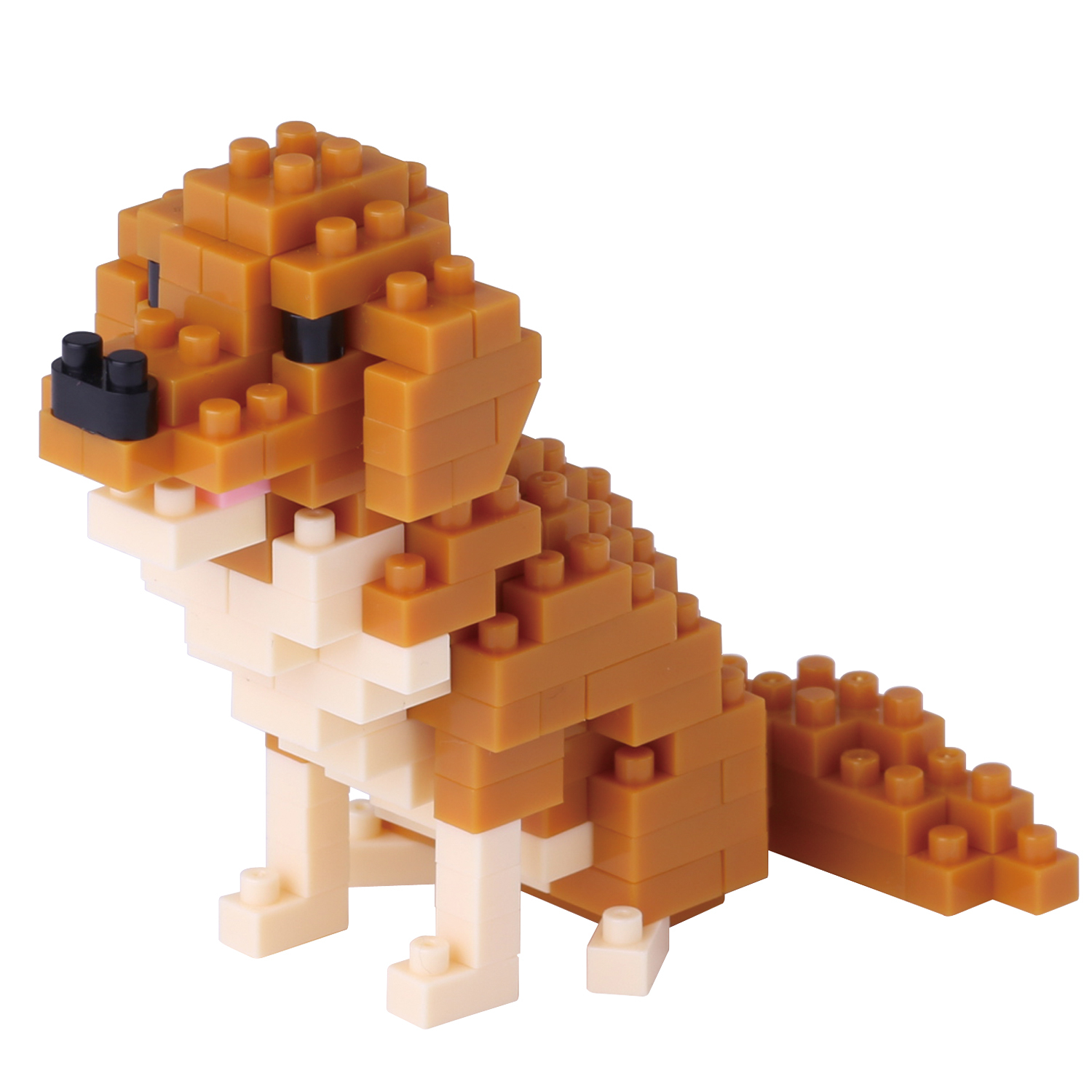 現貨｜Nanoblock 金毛尋回犬 GOLDEN RETRIEVER