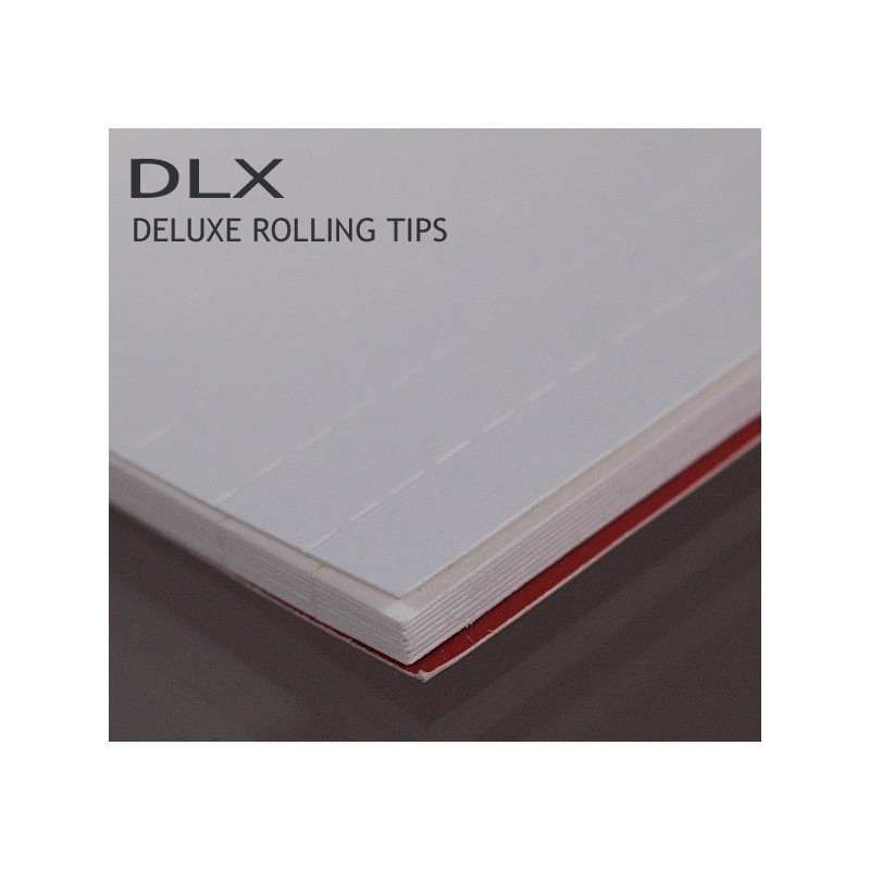 DLX DELUXE PAPER ROLL UP TIPS