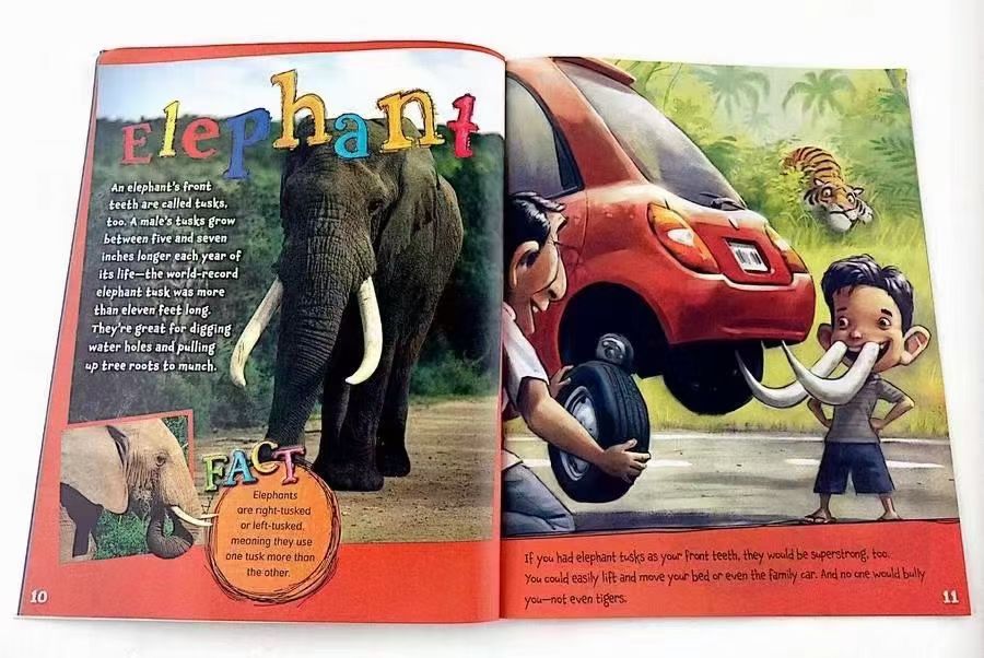 What If You Had Animal ..... Book Set (9books)