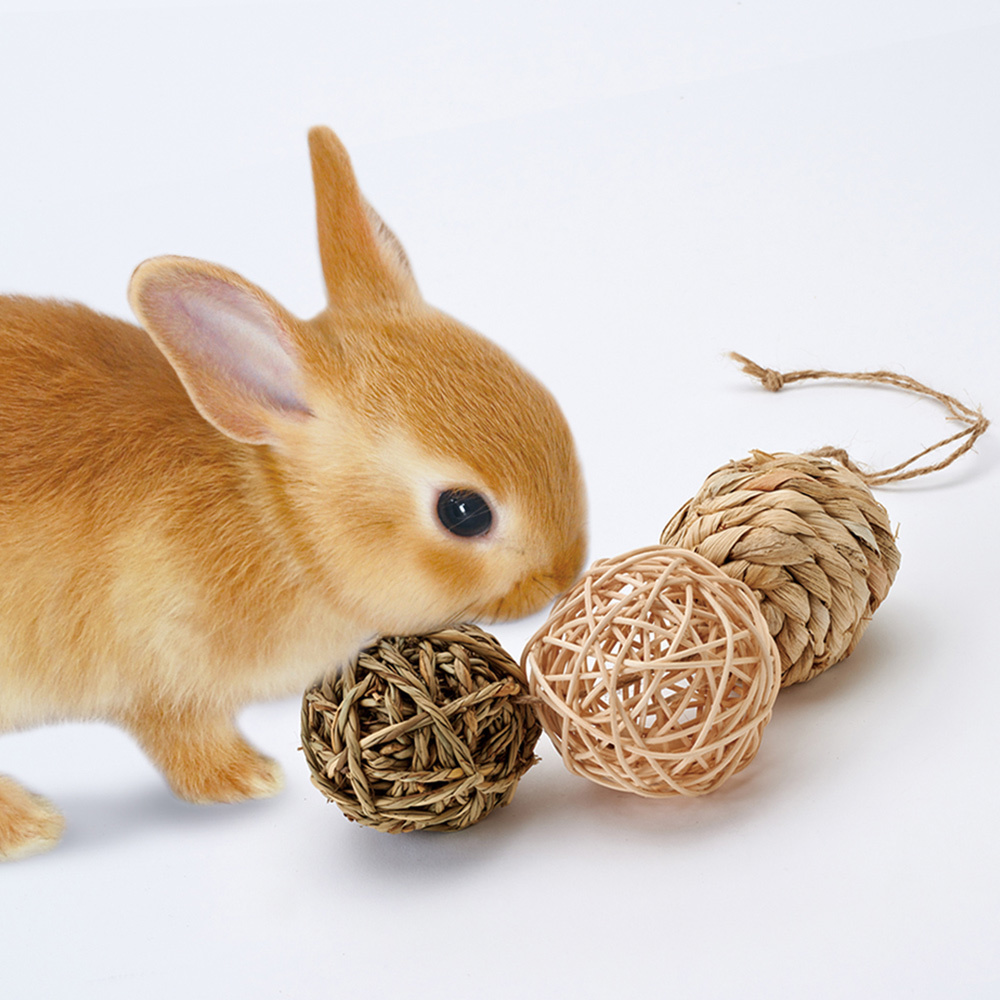 Marukan 小動物編織球玩具