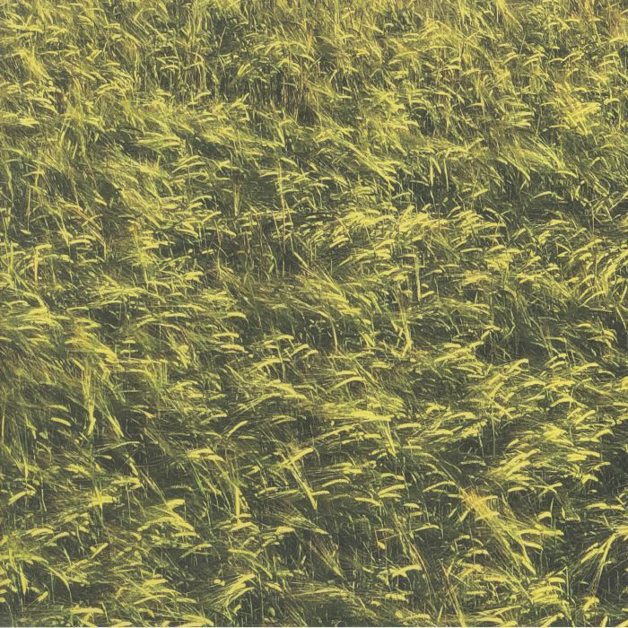 Skee Mask《Pool》（3LP）