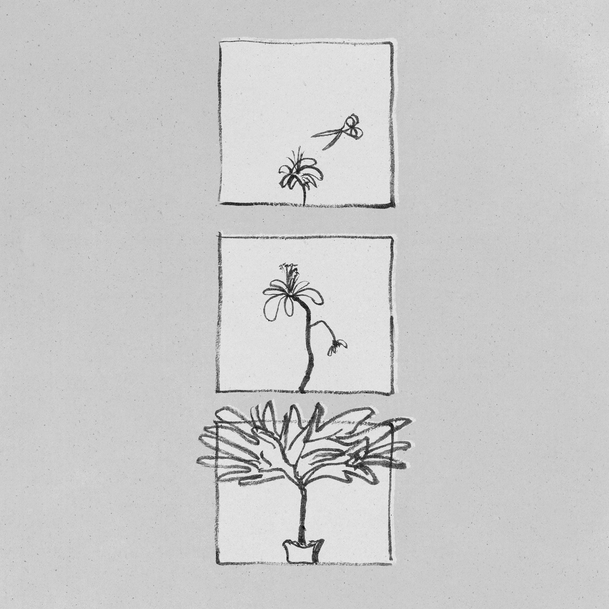 【睡後故事】《不擅於幻想的人》EP