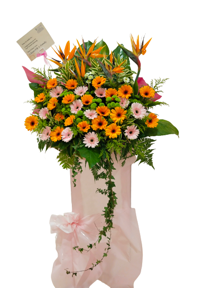 Grand Opening - GO13