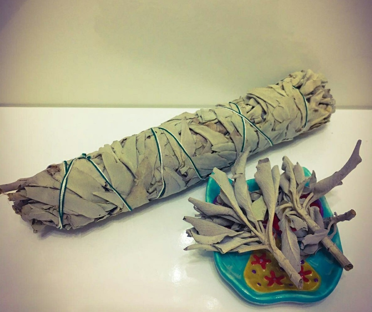 鼠尾草 whitesage