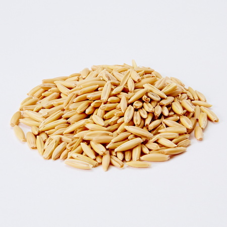 Petio 貓草種子 5包（貓小食）