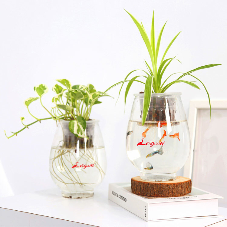 Mini Vish 迷你魚菜共生(2入以下超取)