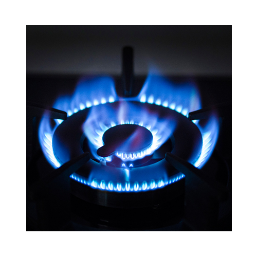 櫻花 Sakura   G2522B‧嵌入式雙頭煮食爐‧煤氣‧石油氣‧台灣製造‧香港行貨,原廠3年保養‧