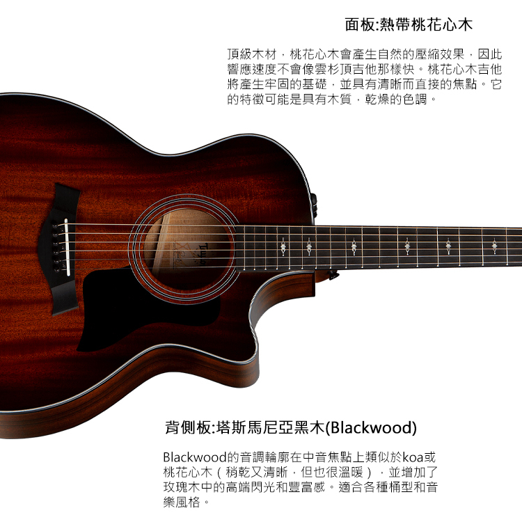 Taylor 324ce 電木吉他 TLGF-324-CE