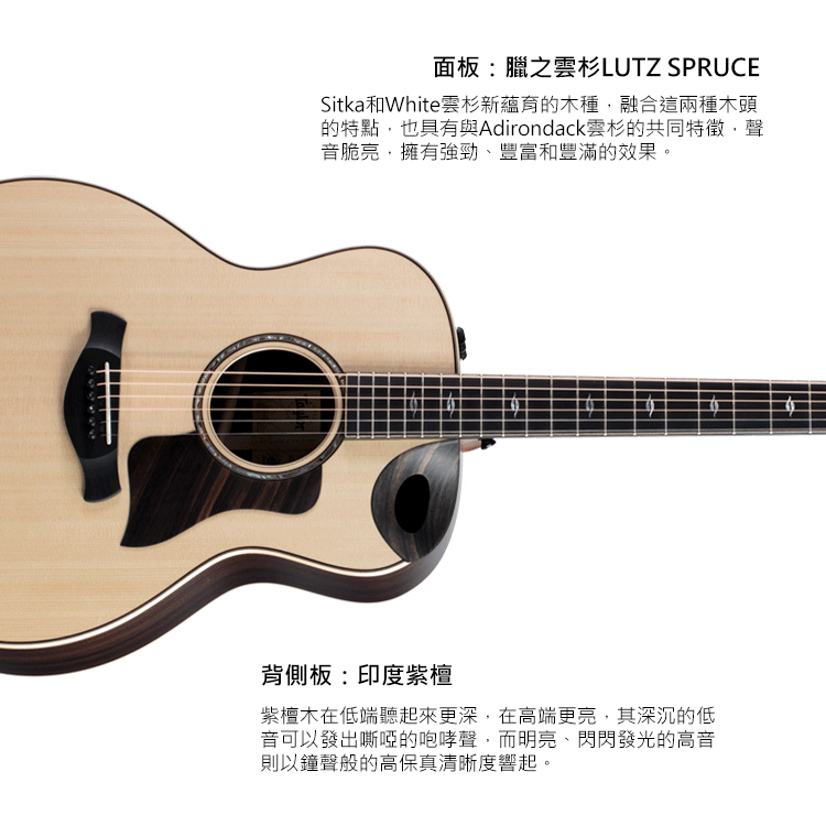Taylor 816ce BE 電木吉他 TLGF-816-CE-BE