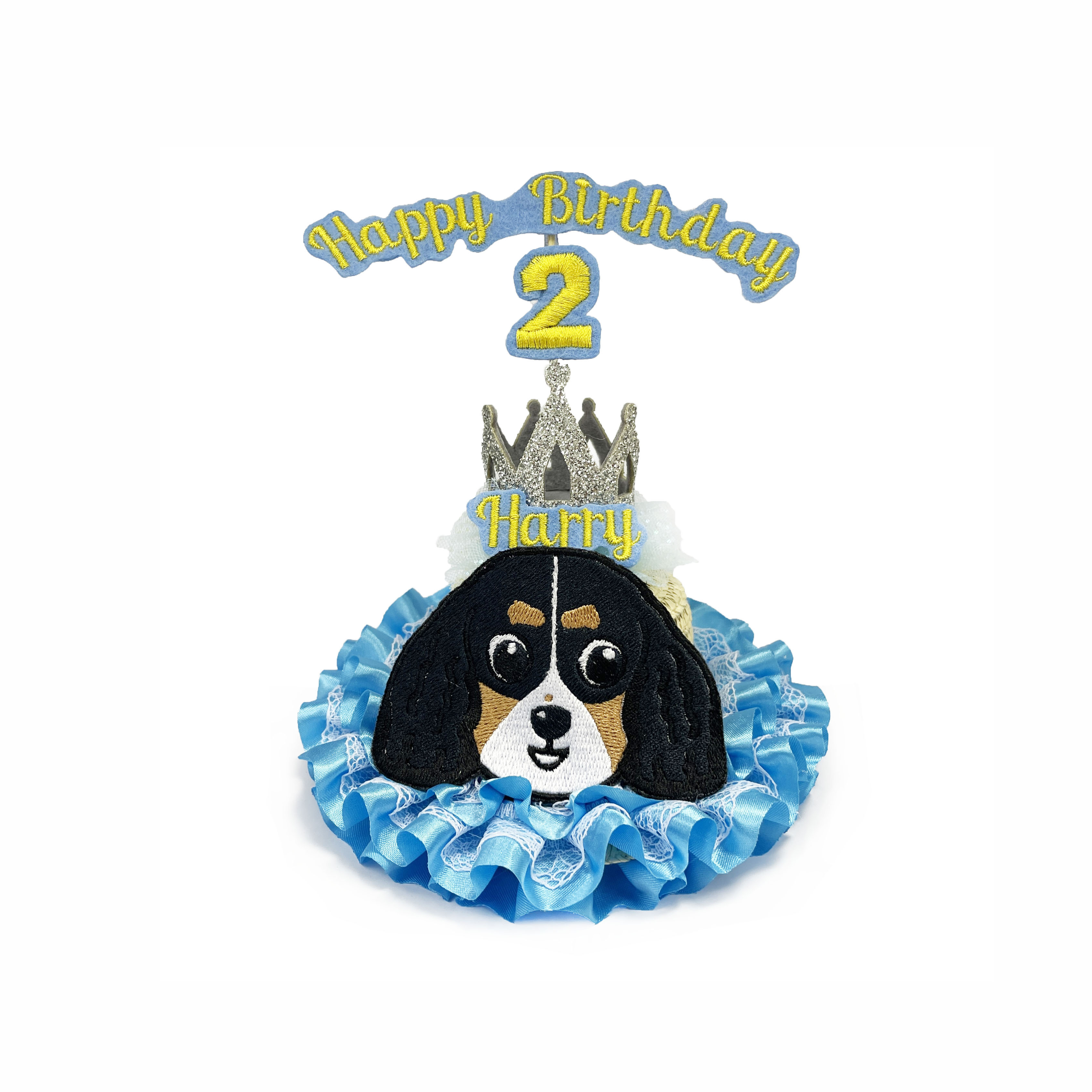 Pet Birthday Hat (Boy Style) - Type  B