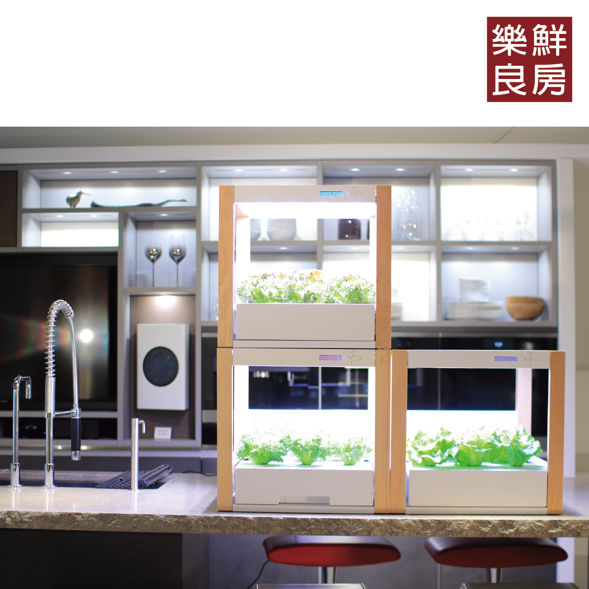 樂鮮好文－辦公室水耕植物四大好處