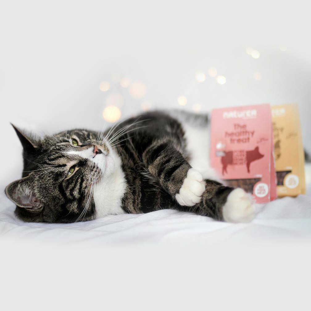 Naturea Healthy Treat Pork Liver For Cats all Breeds & Lifestages 100g EXP: 07/2026