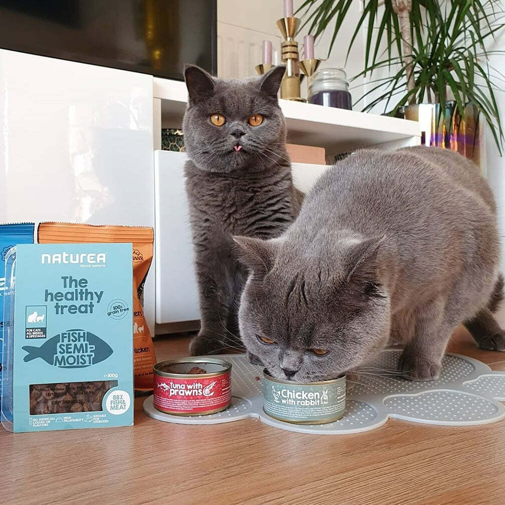 Naturea Healthy Treat Fish For Cats all Breeds & Lifestages 100g