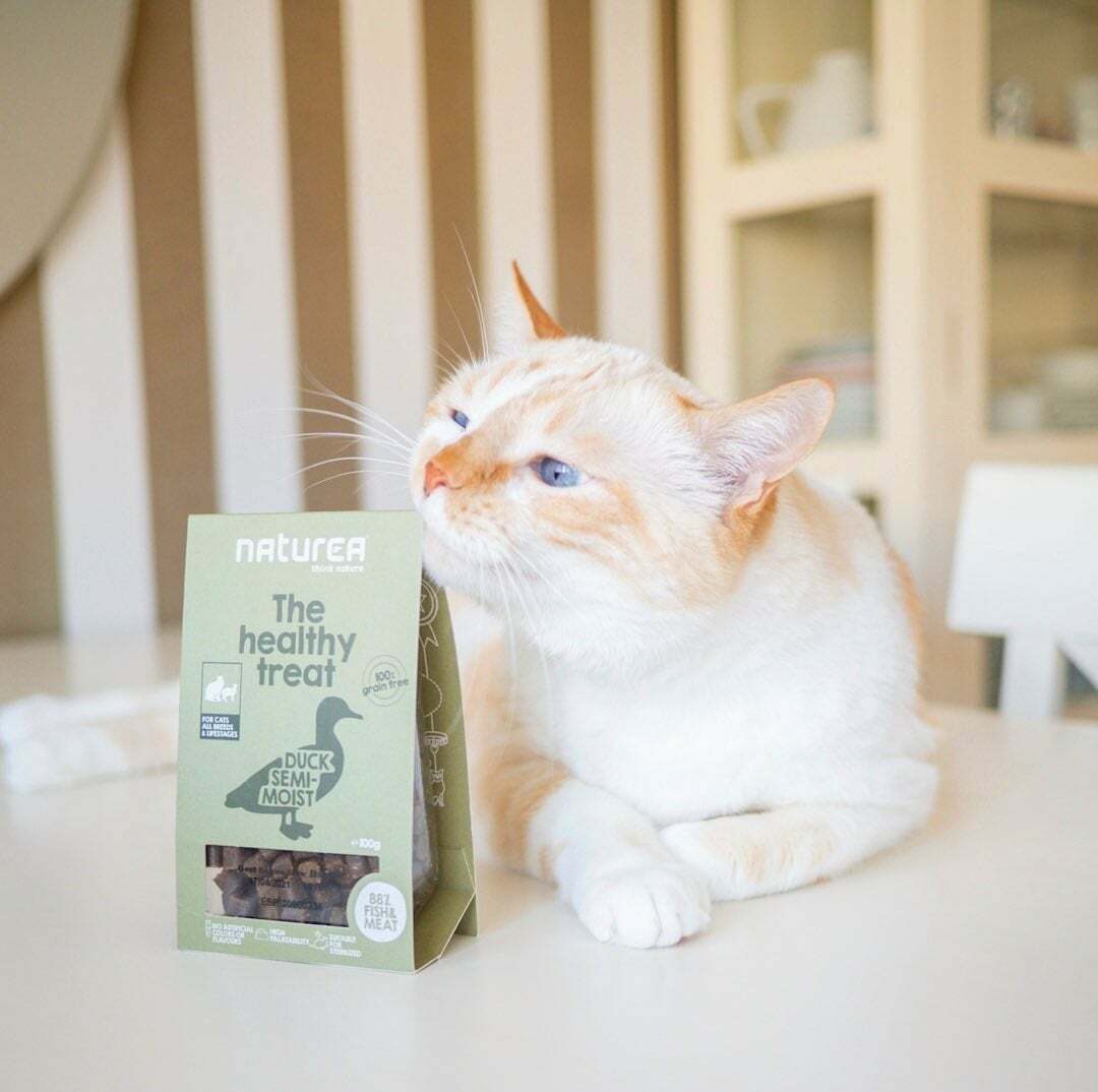 Naturea Healthy Treat Duck For Cats all Breeds & Lifestages 100g EXP: 07/2026