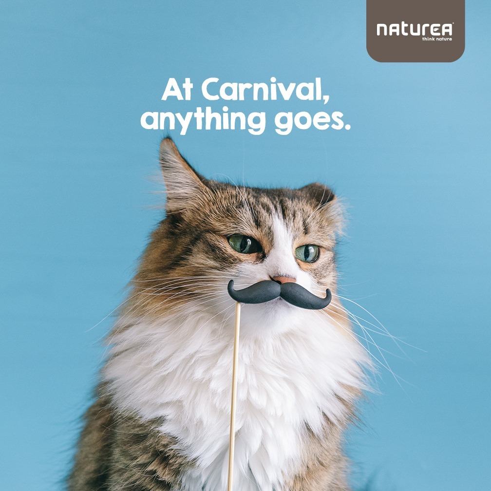 Naturea Healthy Treat Turkey For Cats all Breeds & Lifestages 100g EXP:07/2026