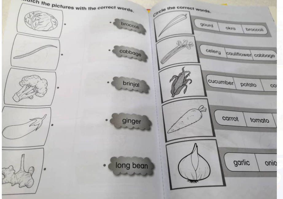 English Pre-Primary (一套4本)