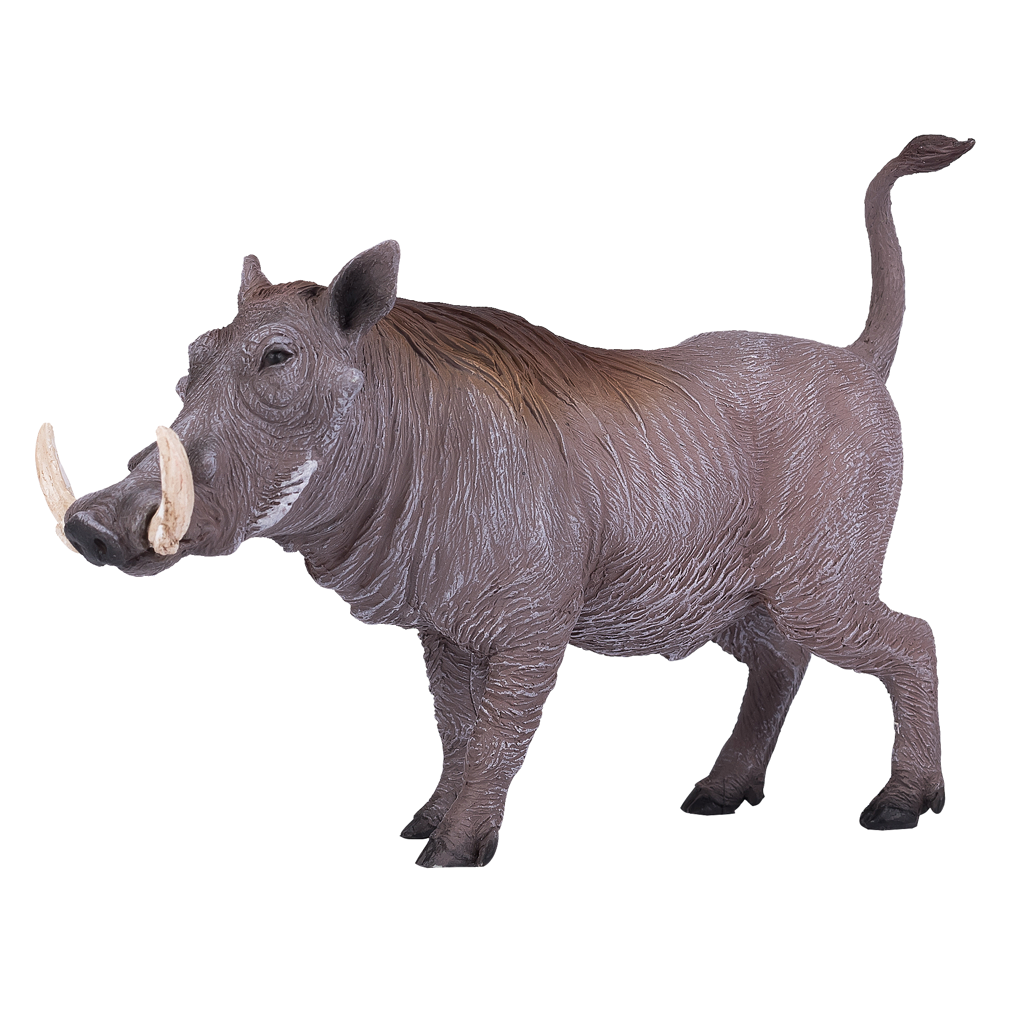 original.png?1631358281