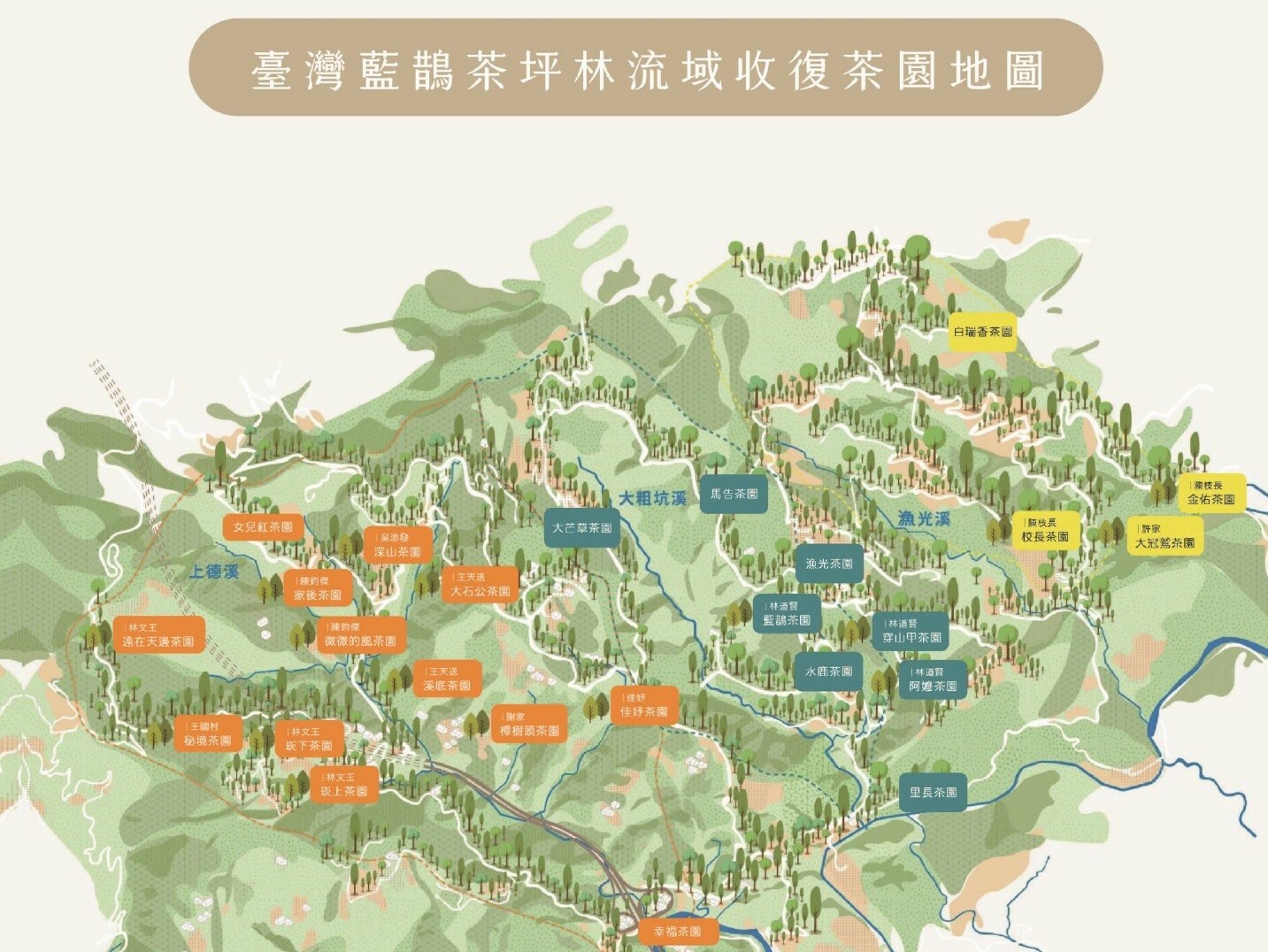 臺灣藍鵲茶,坪林,流域收復,茶園