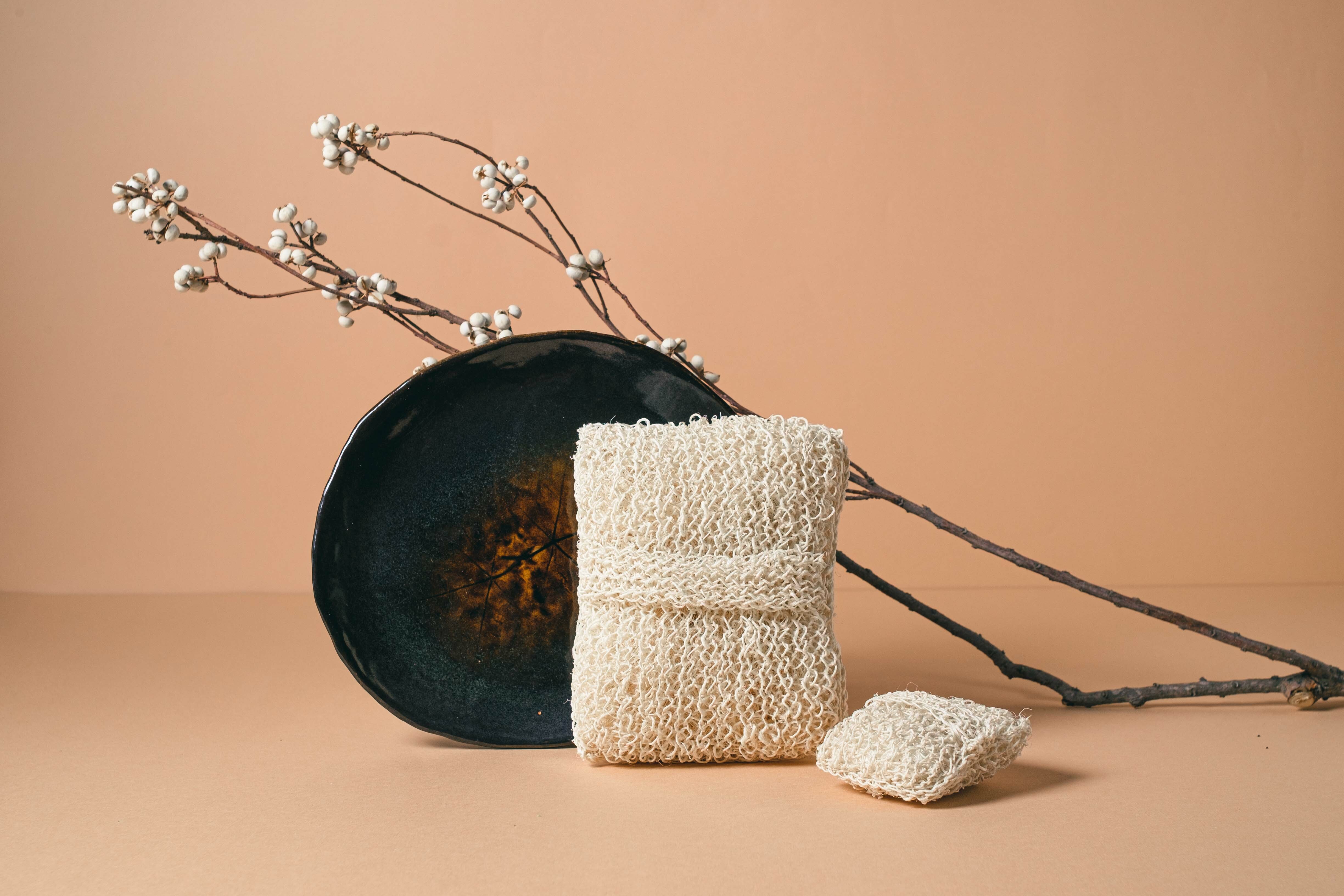 龍舌蘭輕輕刷｜大方刷｜墨西哥